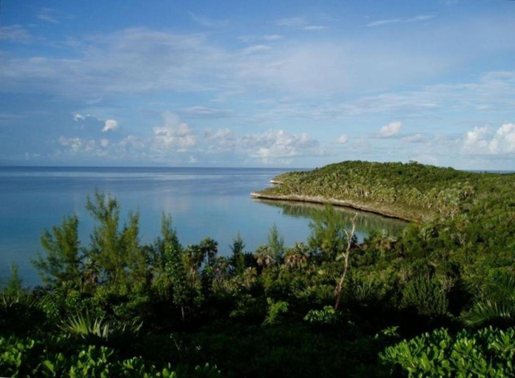 Beside The Pointe Cottage Savannah Sound Exterior photo